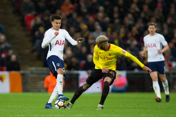 了有力的参 了有力的参